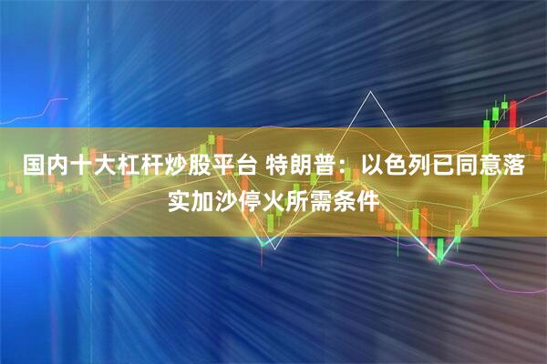 国内十大杠杆炒股平台 特朗普：以色列已同意落实加沙停火所需条件