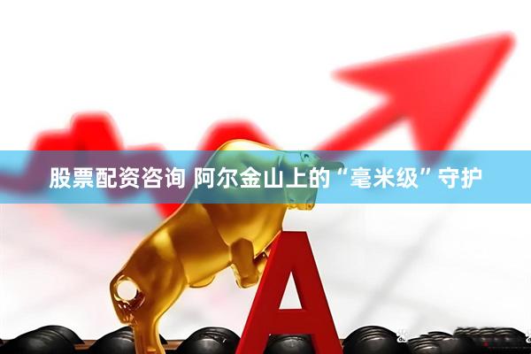 股票配资咨询 阿尔金山上的“毫米级”守护