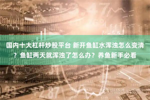 国内十大杠杆炒股平台 新开鱼缸水浑浊怎么变清？鱼缸两天就浑浊了怎么办？养鱼新手必看